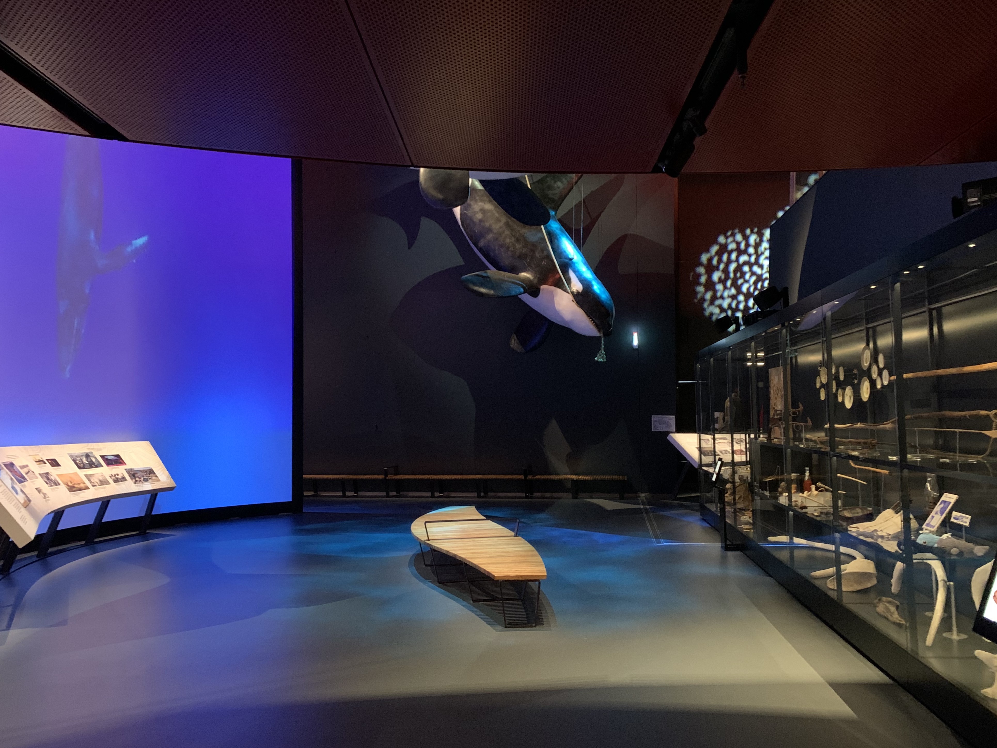 National Museum of Australia Life in Australia Gallery & Discovery Centre Redevelopment Project